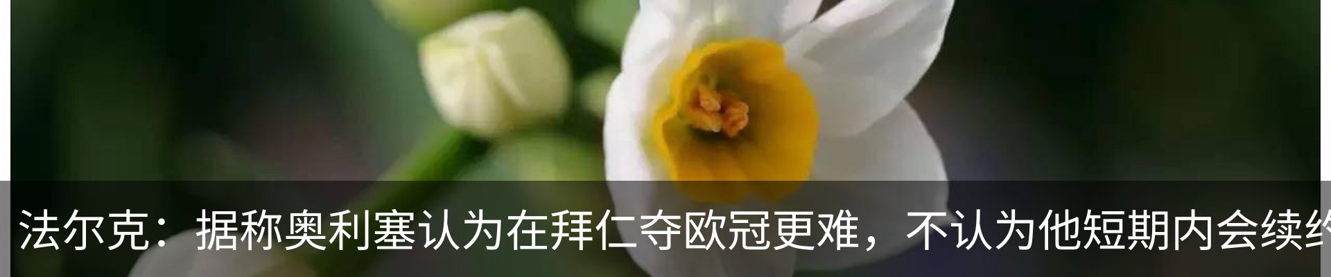 最新动态