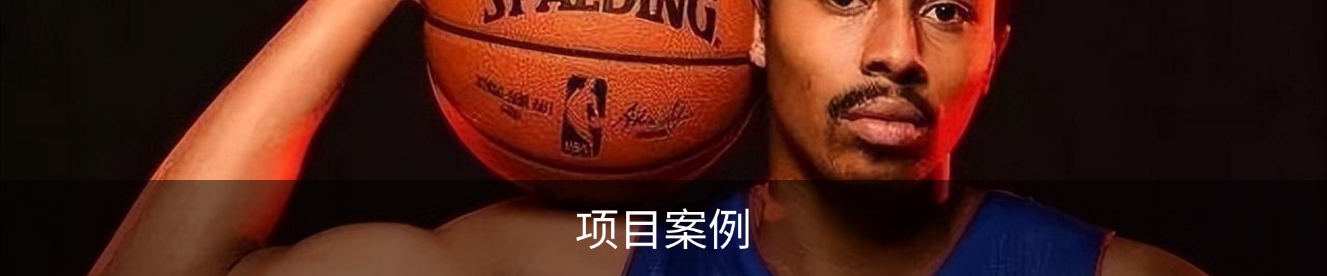 项目案例